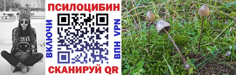Псилоцибиновые грибы MAGIC MUSHROOMS  Сасово 