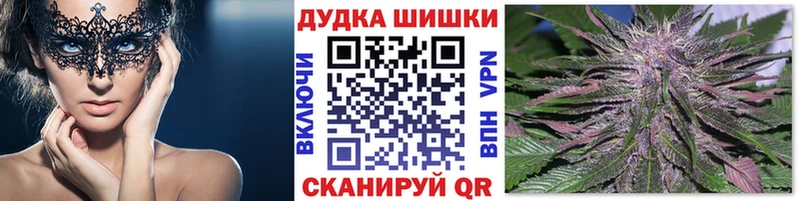 Шишки марихуана планчик  Сасово 